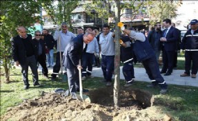 FIRTINANIN YIKTIĞI AĞAÇLARIN YERİNE YENİLERİ DİKİLDİ
