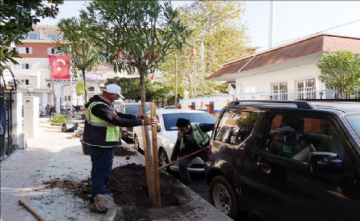 Büyükçekmece Belediyesi´nden Ağaçlandırma Seferberliği