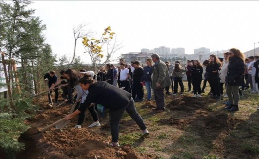 Büyükçekmece´de Yüzlerce Ağaç Daha Toprakla Buluştu