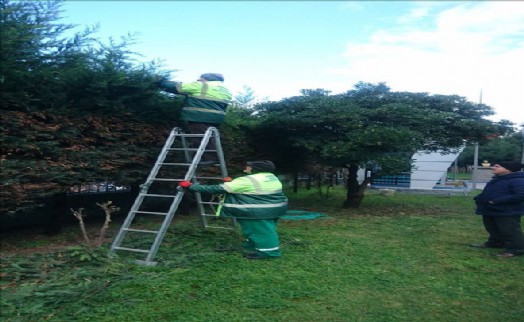 Büyükçekmece´nin Parkları ve Bahçeleri Her Mevsim Bakımlı
