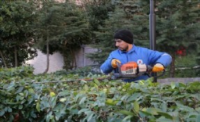 KAĞITHANE´DE SİTE BAHÇELERİ BAKIM ÇALIŞMALARI BAŞLADI