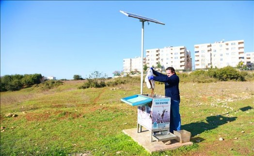 Başakşehir´de Sokak Hayvanları Güvende