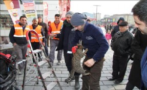 Esenyurt´ta mahsur kedi operasyonu