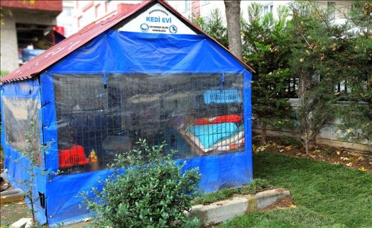 MİNİK DOSTLARIMIZ AVCILAR´DA EMİN ELLERDE