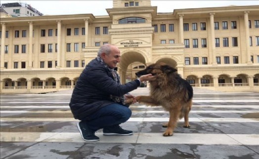 Büyükçekmece Belediyesi Barınağını Yeniliyor