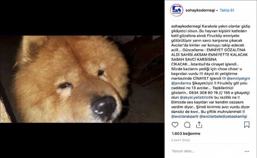 TOPRAK ANA KÖPEĞİN ÖLDÜRÜLDÜĞÜ ÇİFTLİĞİ MÜHÜRLEDİ