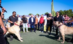 TÜRK ÇOBAN KÖPEKLERİ ÜMRANİYE’DE YARIŞTI