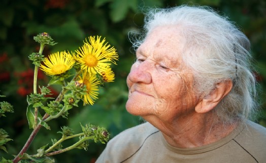 DİKKAT! KOKU ALMA BOZUKLUKLARI ALZHEIMER'IN HABERCİSİ OLABİLİR