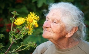 DİKKAT! KOKU ALMA BOZUKLUKLARI ALZHEIMER'IN HABERCİSİ OLABİLİR