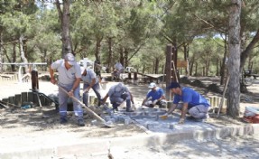 SULTANGAZİ BELEDİYESİ'NDEN YEŞİL ALANLARA BAKIM