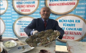 BALIK KÖFTESİ ÇOCUKLARA BALIĞI SEVDİRDİ