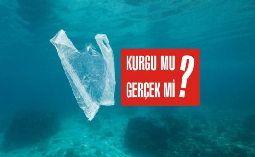 BİLİM ADAMLARI İDDİALARA SON NOKTAYI KOYDU