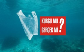 BİLİM ADAMLARI İDDİALARA SON NOKTAYI KOYDU