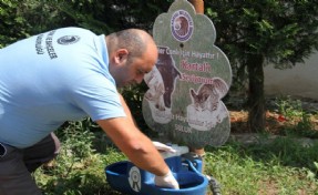KARTAL’DA PARK BAKIM ÇALIŞMALARI DEVAM EDİYOR
