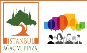 İSTANBULLU ŞİMDİ DE AĞACINI SEÇECEK