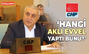 CHP’Lİ MECLİS ÜYESİNDEN ZEYTİNBURNU BELEDİYESİ’NE ZEHİR ZEMBEREK AÇIKLAMALAR