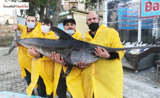 MARMARA DENİZİ’NDE DEV KILIÇ BALIĞI YAKALANDI