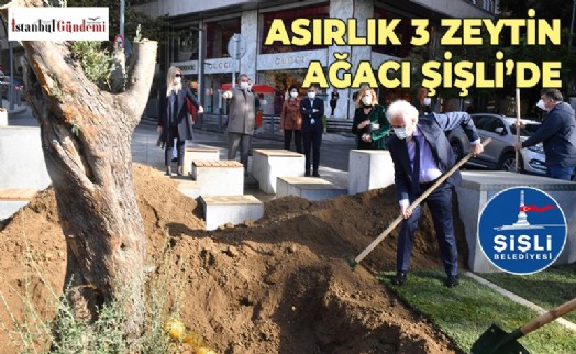 ŞİŞLİ BELEDİYESİ’NDEN ‘MİLLİ AĞAÇLANDIRMA GÜNÜ’ ÖZELİNDE ÖRNEK GİRİŞİM