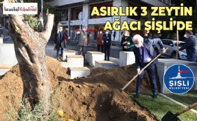 ŞİŞLİ BELEDİYESİ’NDEN ‘MİLLİ AĞAÇLANDIRMA GÜNÜ’ ÖZELİNDE ÖRNEK GİRİŞİM