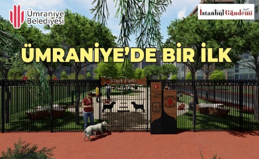 PATİLİ DOSTLARA ÖZEL PARK ALANI HİZMETE GİRİYOR
