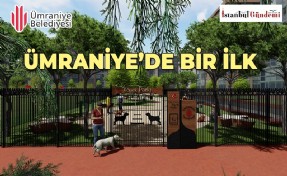 PATİLİ DOSTLARA ÖZEL PARK ALANI HİZMETE GİRİYOR