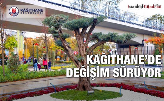 AĞAÇLAR, YÜRÜYÜŞ YOLLARI VE MEKANLAR ‘MEYDANA’ ÇIKIYOR