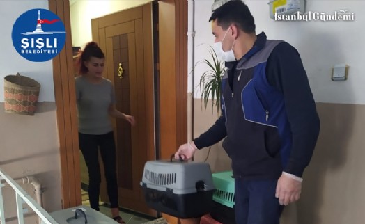 ŞİŞLİ’DE BULUNAN 57 KEDİ SAHİPLENDİRİLECEK