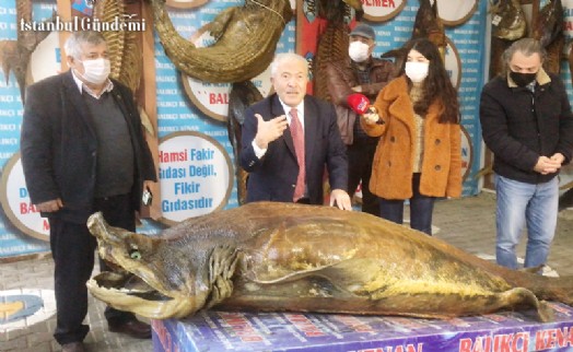 ORTA DOĞU’DAN TÜRKİYE DENİZ CANLILARI MÜZESİNE BÜYÜK İLGİ