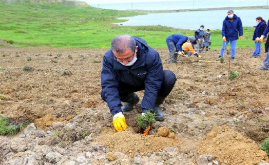 EYÜPSULTAN’A 15 BİN LAVANTA DİKİLECEK!