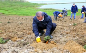 EYÜPSULTAN’A 15 BİN LAVANTA DİKİLECEK!