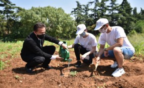 TUZLA’DA GENÇLER, İHTİYAÇ SAHİPLERİ İÇİN TOHUMU TOPRAKLA BULUŞTURDU