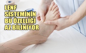 BAĞIŞIKLIK SİSTEMİ İÇİN BÜYÜK ÖNEM TAŞIYOR