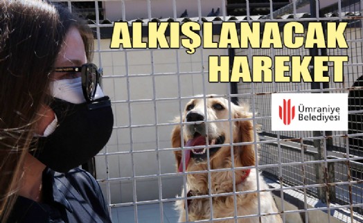 DOĞUM GÜNÜNDE SOKAK HAYVANLARI İÇİN MAMA TOPLADI