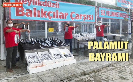 40 LİRA OLAN PALAMUT 10 LİRAYA DÜŞTÜ