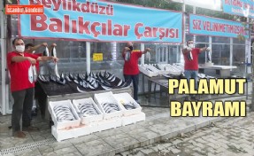 40 LİRA OLAN PALAMUT 10 LİRAYA DÜŞTÜ