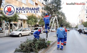 KAĞITHANE’DE EKİPLER AĞAÇLARIN SAĞLIĞI İÇİN SAHADA