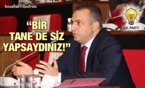 MAİLİKİ EJDER BATUR’DAN CHP’YE SİTEM DOLU ELEŞTİRİ