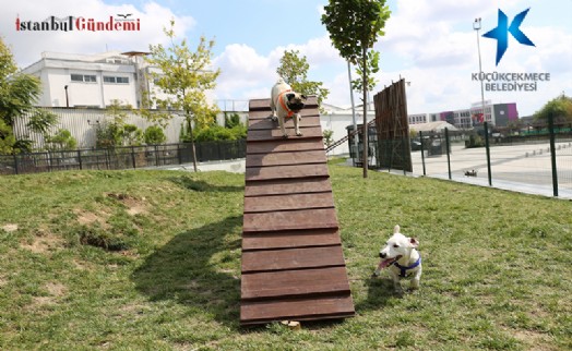 KÜÇÜKÇEKMECE’DE KÖPEKLERE ÖZEL ‘PATİ PARK’