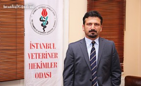 VETERİNER HEKİMLERE AŞI ÖNCELİĞİ YOK