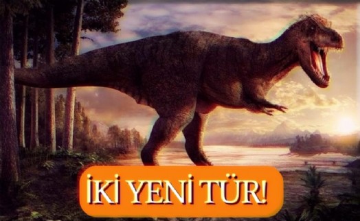 125 Milyon Yıl Öncesinden 2 Yeni Dinozor Keşfi!