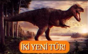 125 Milyon Yıl Öncesinden 2 Yeni Dinozor Keşfi!