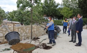 Silivri Belediyesi’nden ağaç dikme seferberliği