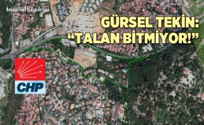 GÜRSEL TEKİN: ‘İSTANBUL TALAN VE TAHRİBATLA KARŞI KARŞIYA’