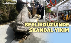 BELEDİYE ÇOCUKLARIN MÜZESİNİ YIKTI