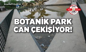 BAKIRKÖY BELEDİYESİ ‘BOTANİK PARKI’ GÖZDEN Mİ ÇIKARDI?