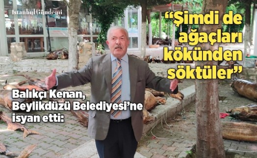 BEYLİKDÜZÜ BELEDİYESİ, 160 AĞACI KÖKÜNDEN SÖKTÜ