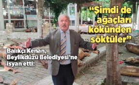 BEYLİKDÜZÜ BELEDİYESİ, 160 AĞACI KÖKÜNDEN SÖKTÜ