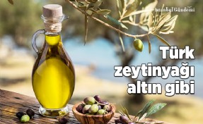 TÜRK ZEYTİNYAĞI DOLAR BAZINDA YÜZDE 16 DEĞERLENDİ