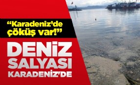 Deniz salyası Karadeniz'de! Çöküş var...