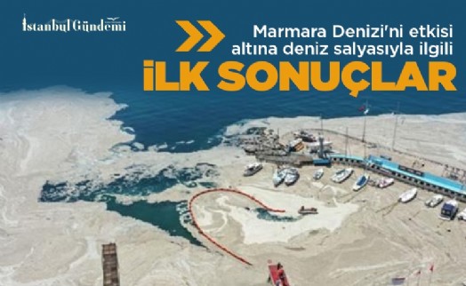 Marmara Denizi'ni etkisi altına deniz salyasıyla ilgili ilk sonuçlar